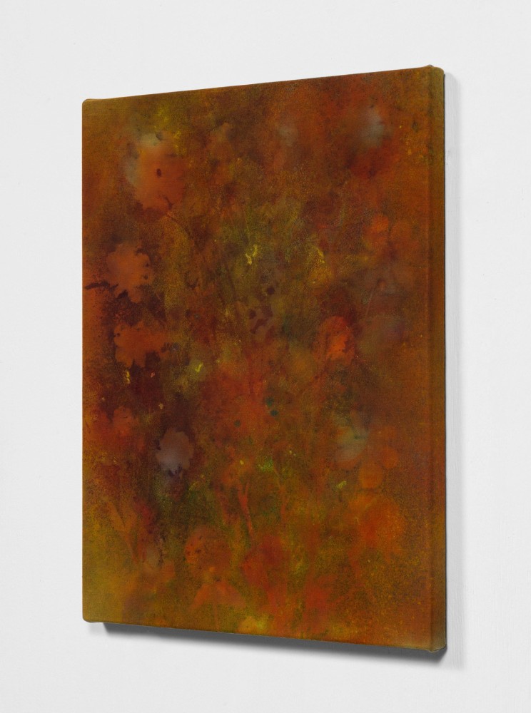 MESA DAHLIAS,&amp;nbsp;2020, Side view