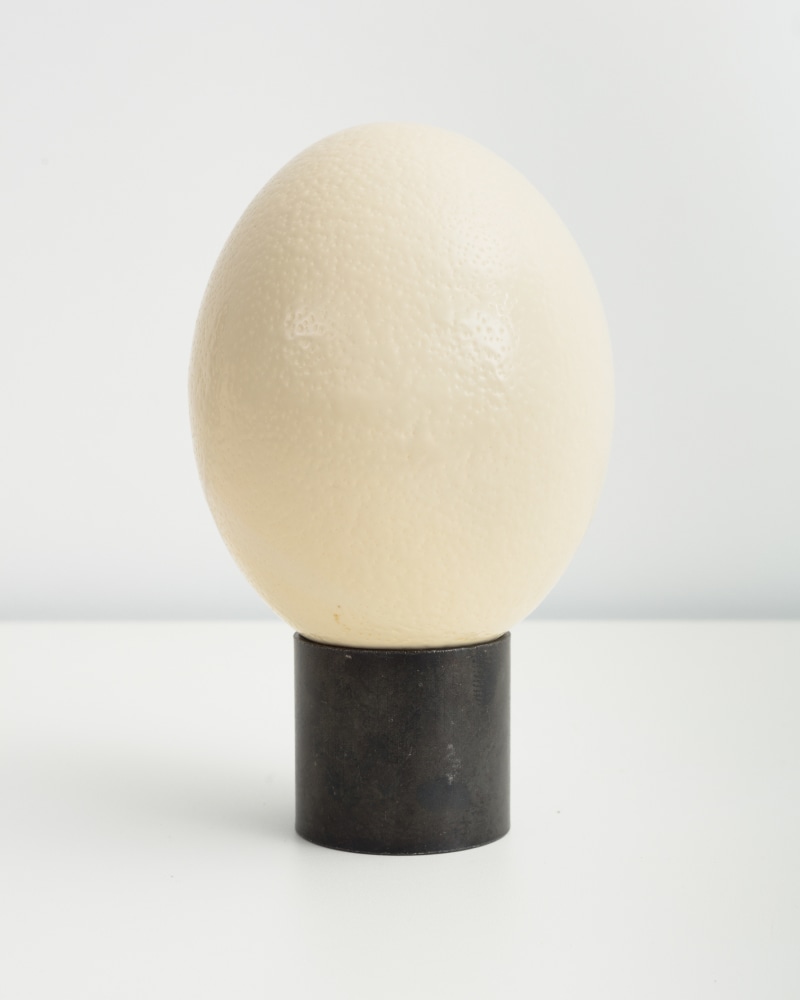 egg sculpture by Sarah Ortmeyer
