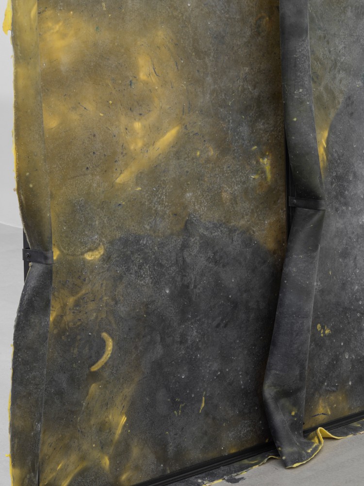 Crush 4

2025

Metal, latex, pigment, talcum

300 x 200 x 30 cm / 118 1/8 x 78 3/4 x 11 3/4 in

&amp;copy; Liesl Raff