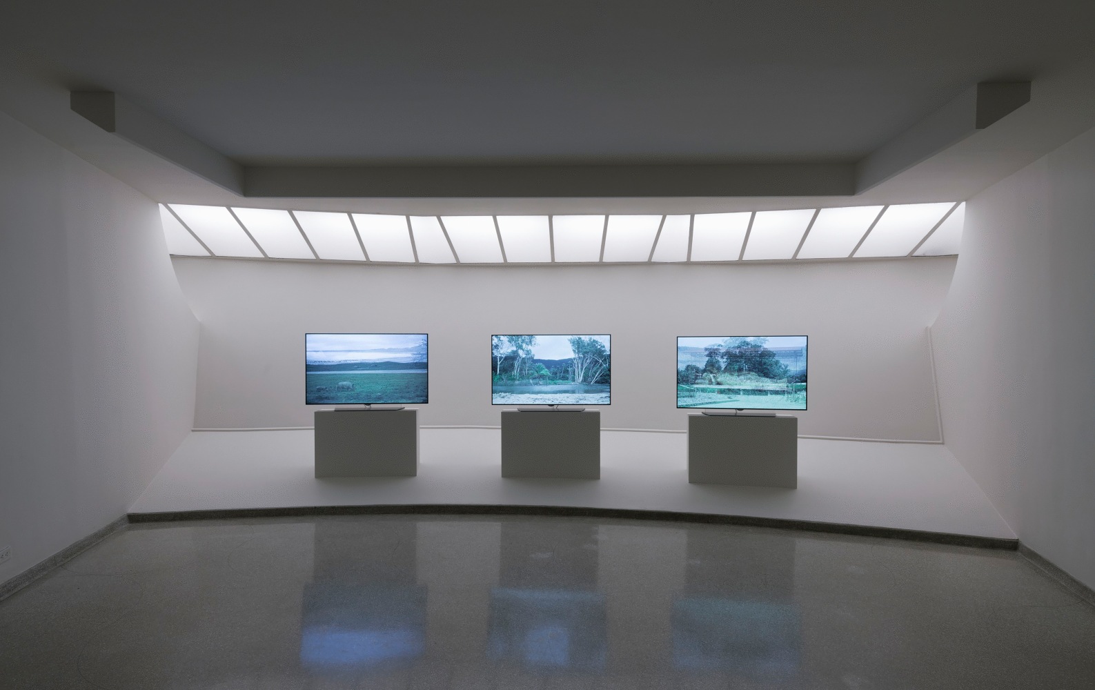 Installation view of sculptures by Peter Fischli and David Weiss