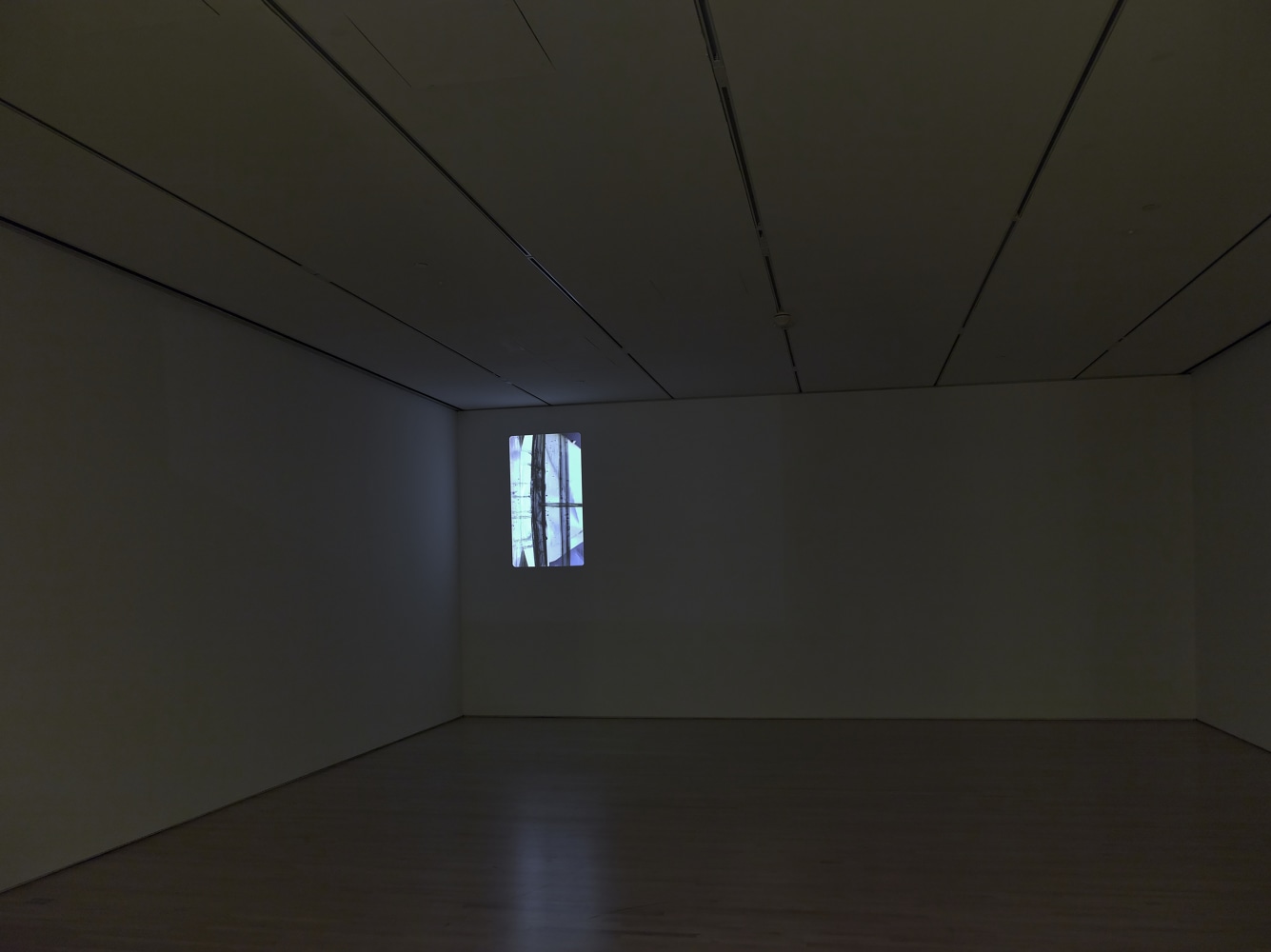 Installation view of works by Trisha Donnelly