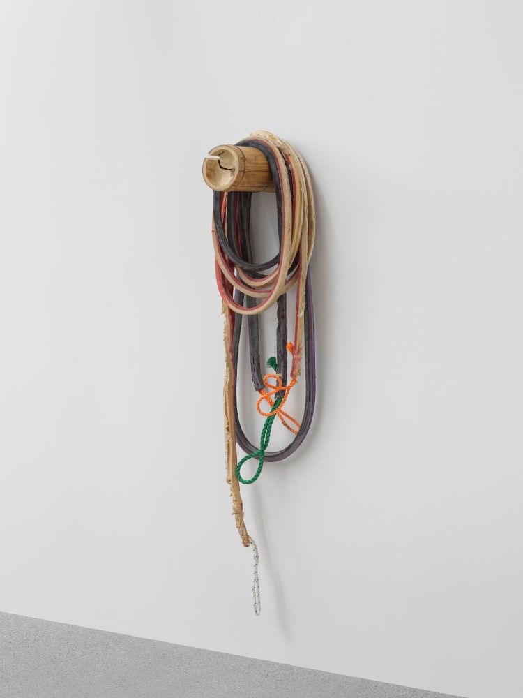 Loop 6

2021

Latex, rope, bamboo, pigment, talcum

Installation dimensions variable

&amp;copy; Liesl Raff