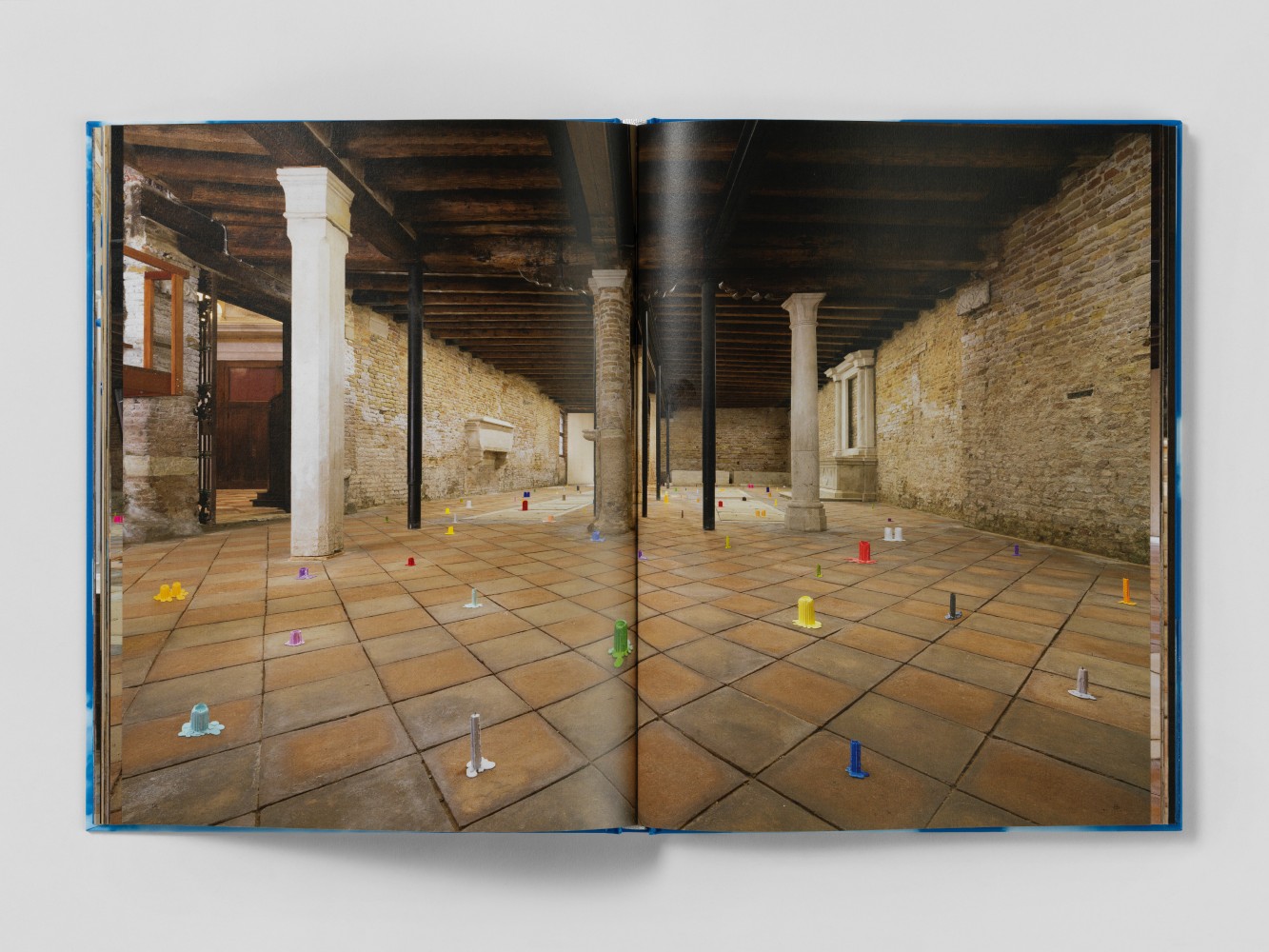 publication burn shine fly by Ugo Rondinone