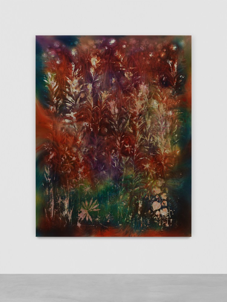 SAM FALLS
Summer Thunder
2023 Pigment on canvas
223.5 x 172.5 cm / 88 x 68 in
FALLS58903
