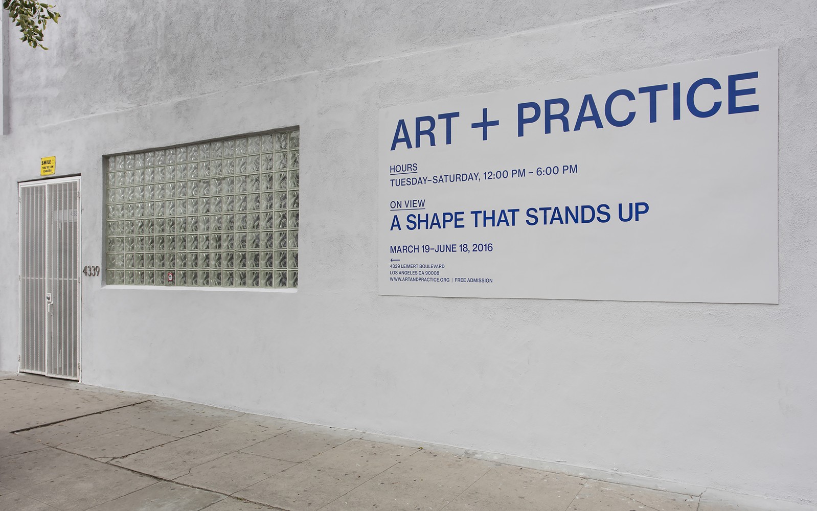 Installation view of paintings by Tschabalala Self and works of other artists