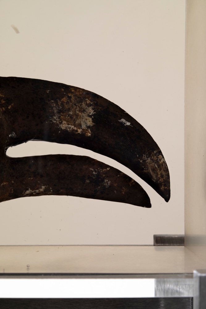 Beak

2024

Sculpture 27 x 15.5 x 24 cm / 10 5/8 x 6 1/8 x 9 1/2 in

Pedestal 112 x 18 x 29.5 cm / 44 x 7 1/8 x 11 5/8 in

&amp;copy; Matthew Angelo Harrison