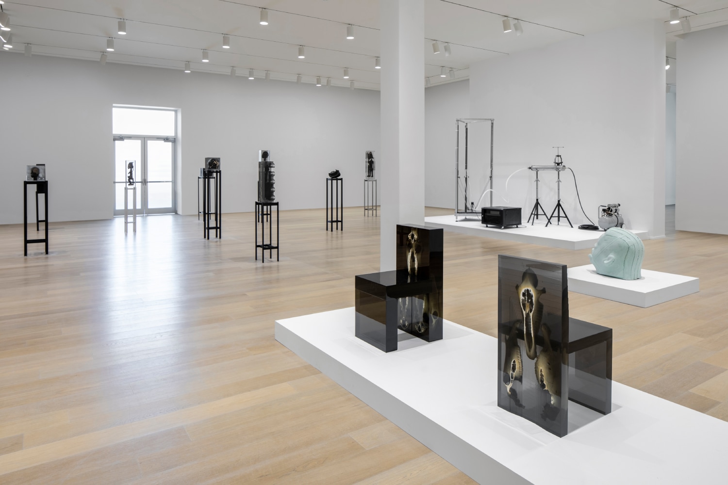 Installation view of sculptures by Matthew Angelo Harrison