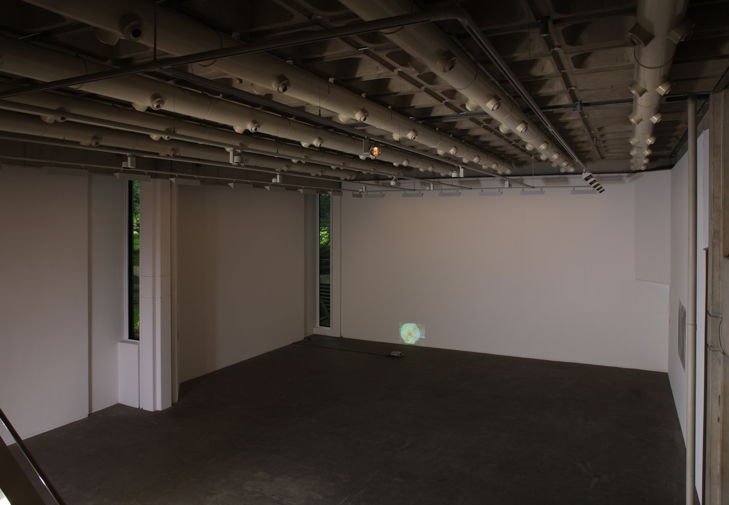 Installation view of works by Trisha Donnelly