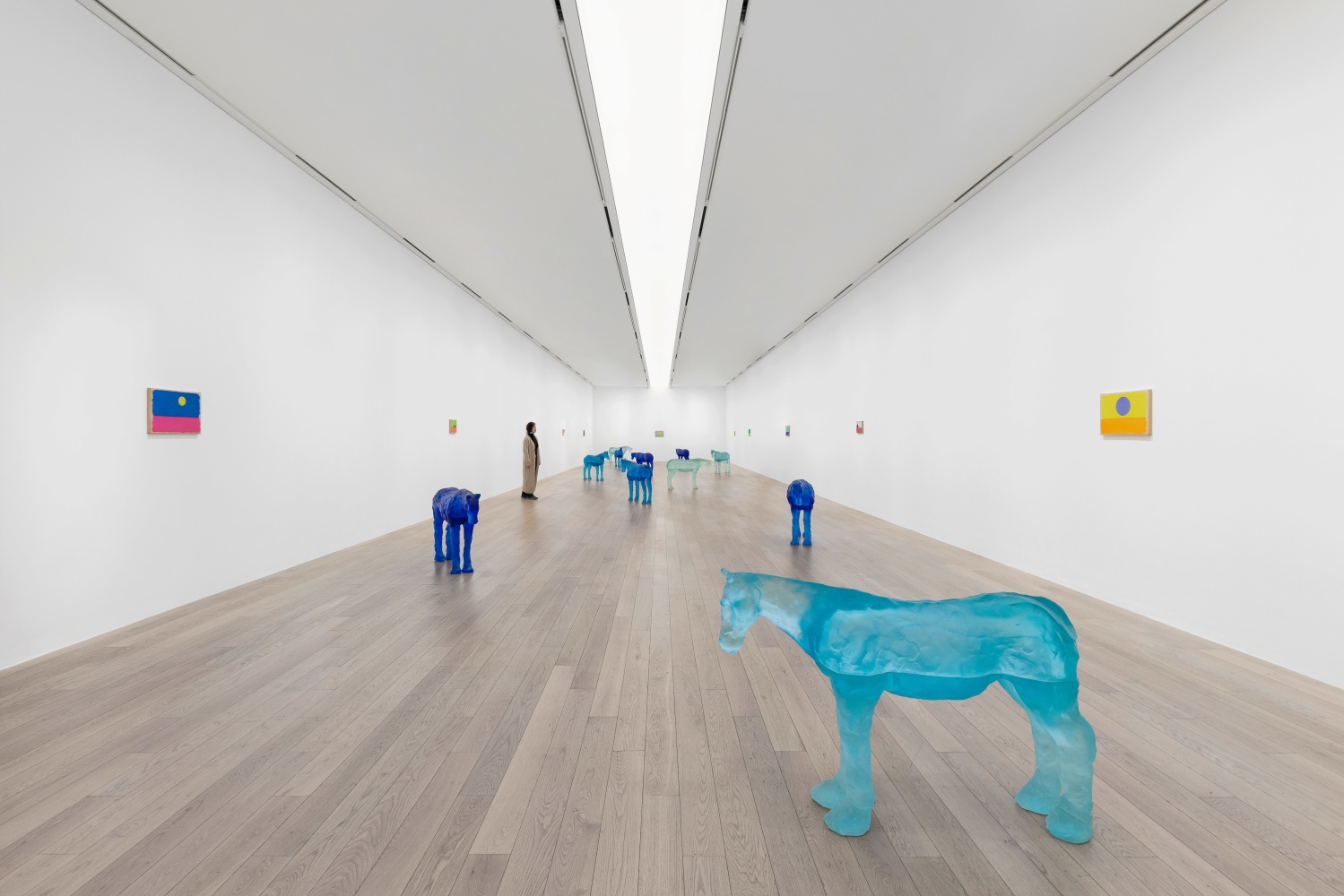 Installation view, Ugo Rondinone, BURN TO SHINE, Museum SAN, Wonju, 2024