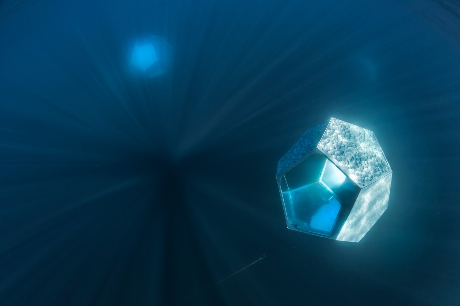 Installation view of living art installation by Doug Aitken