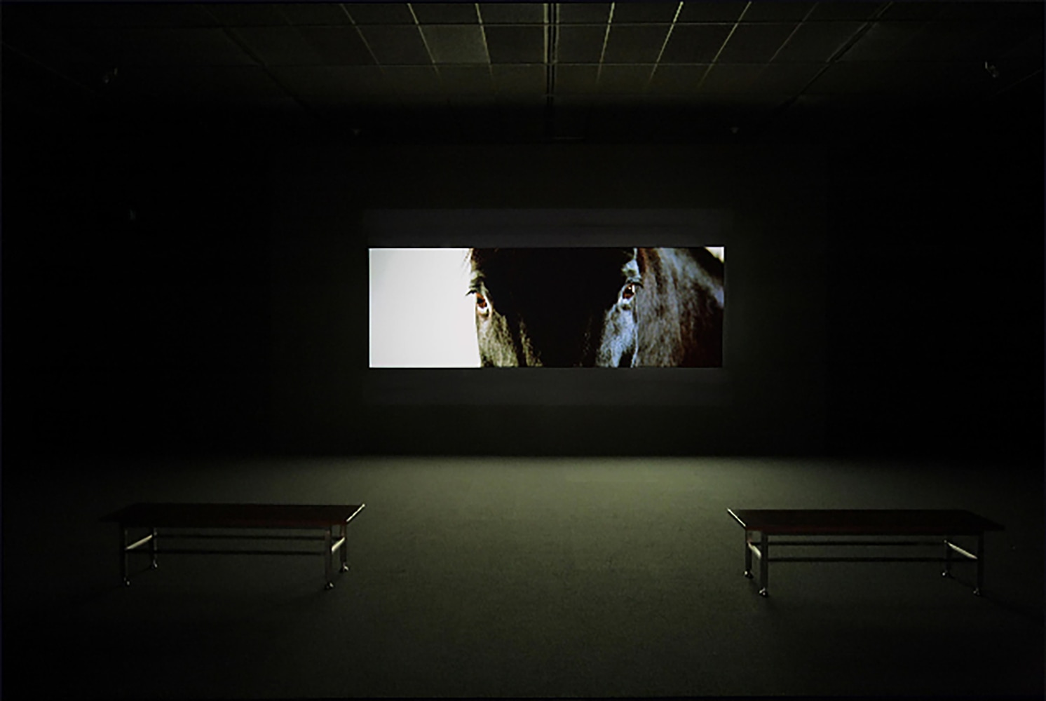 Installation view of Works by Doug Aitken