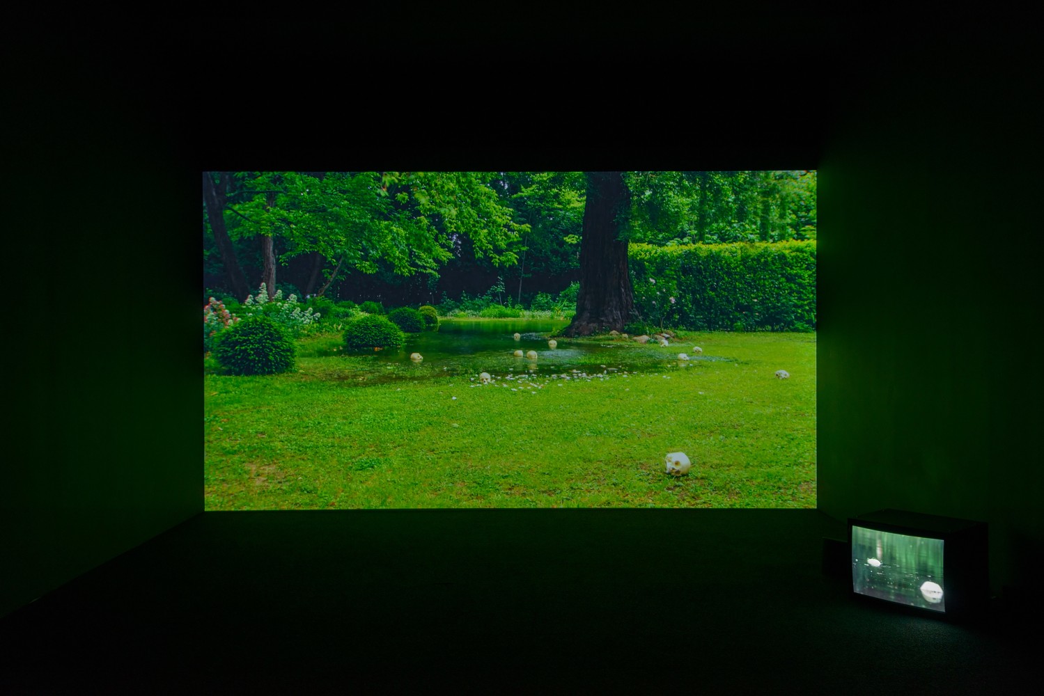 Installation view of video work by Douglas Gordon