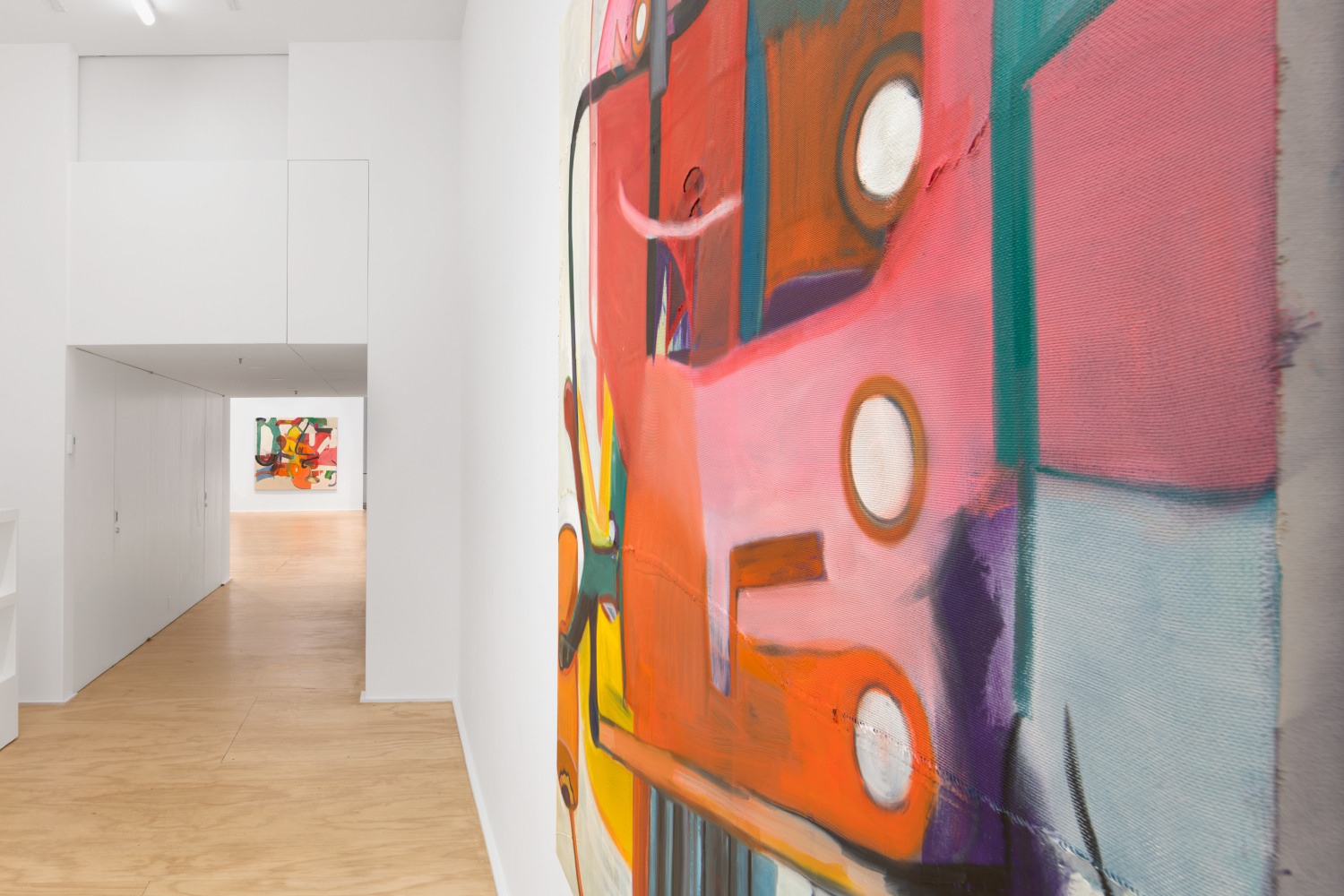 Installation view of Alex Hubbard paintings and film installation exhibition