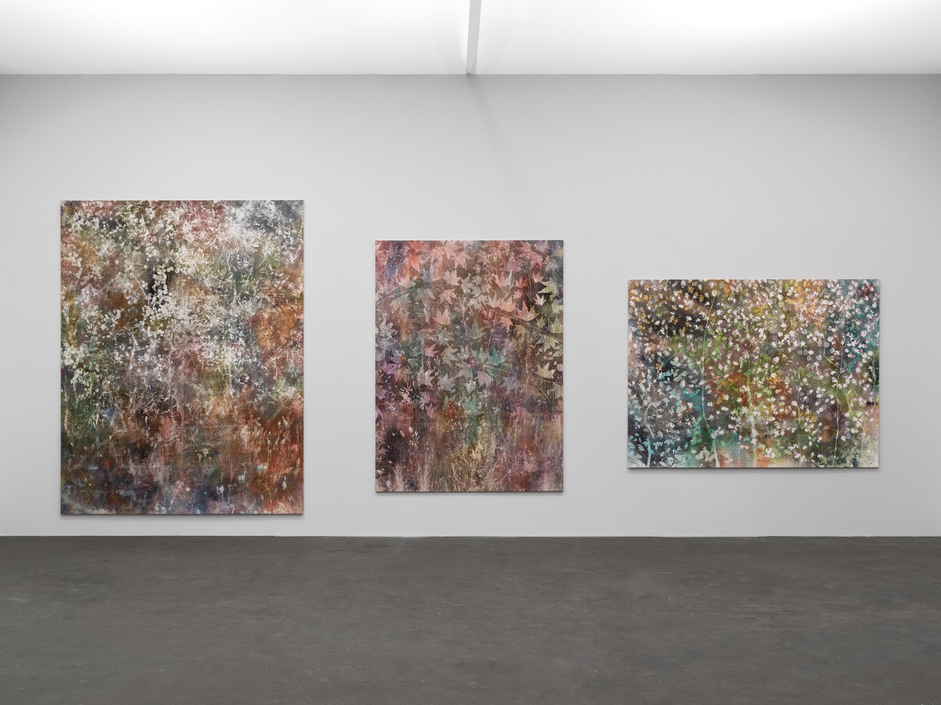 Installation view of paintings by Sam Falls