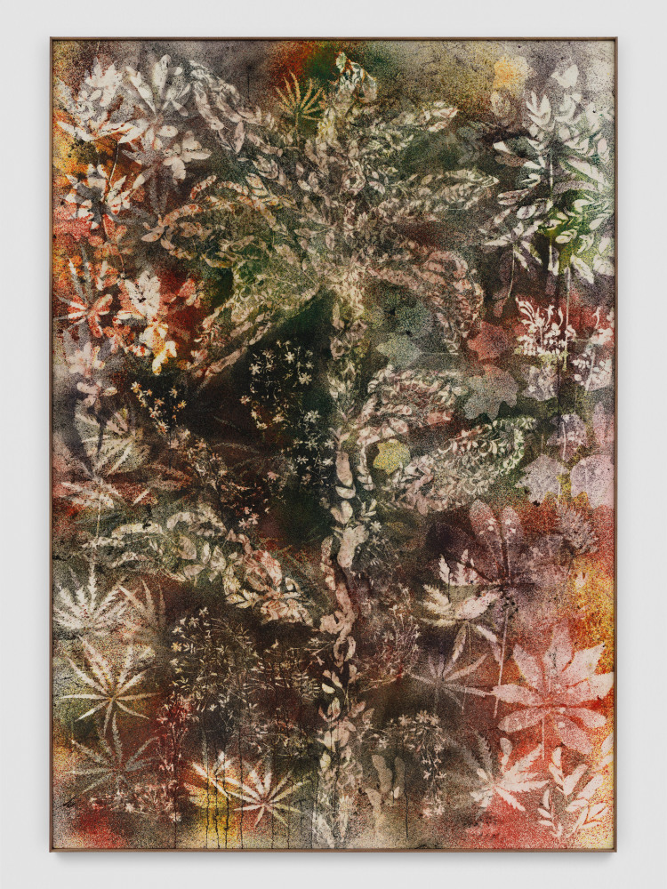 Canvas work by Sam Falls