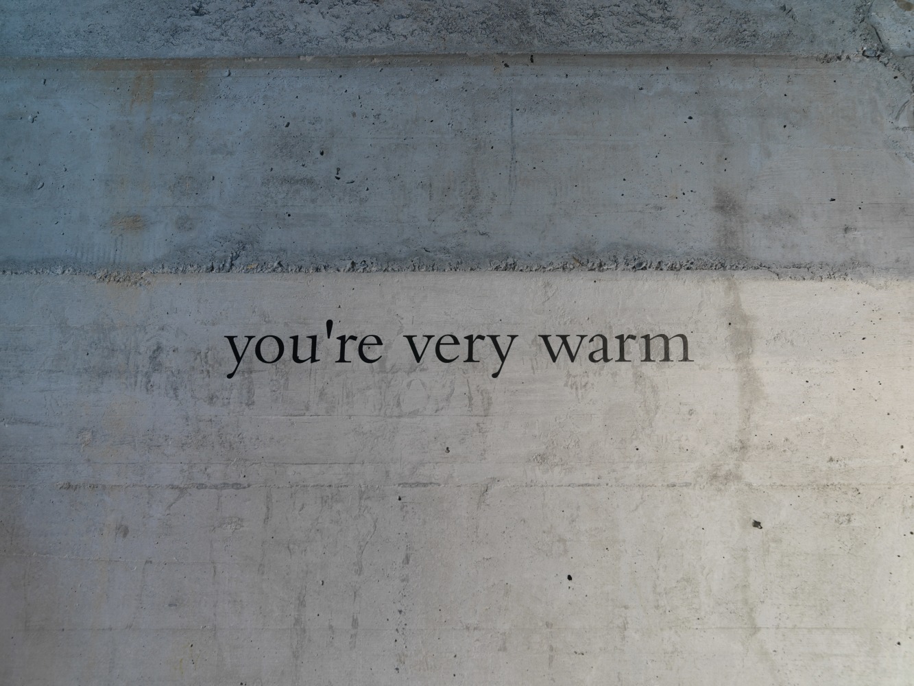 Douglas Gordon I AM HIDE 2007 Vinyl text in matt black on wall, Bembo font, lower case, 15 lines Letter height 3,8 cm