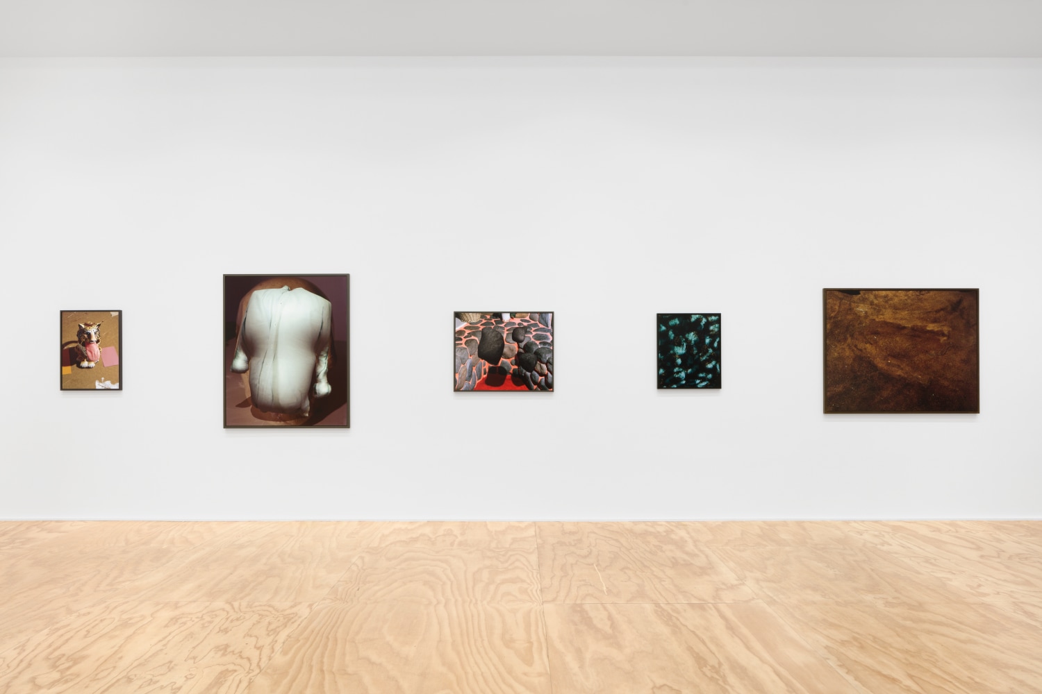Installation view of Lucas Blalock photography and sculpture exhibition