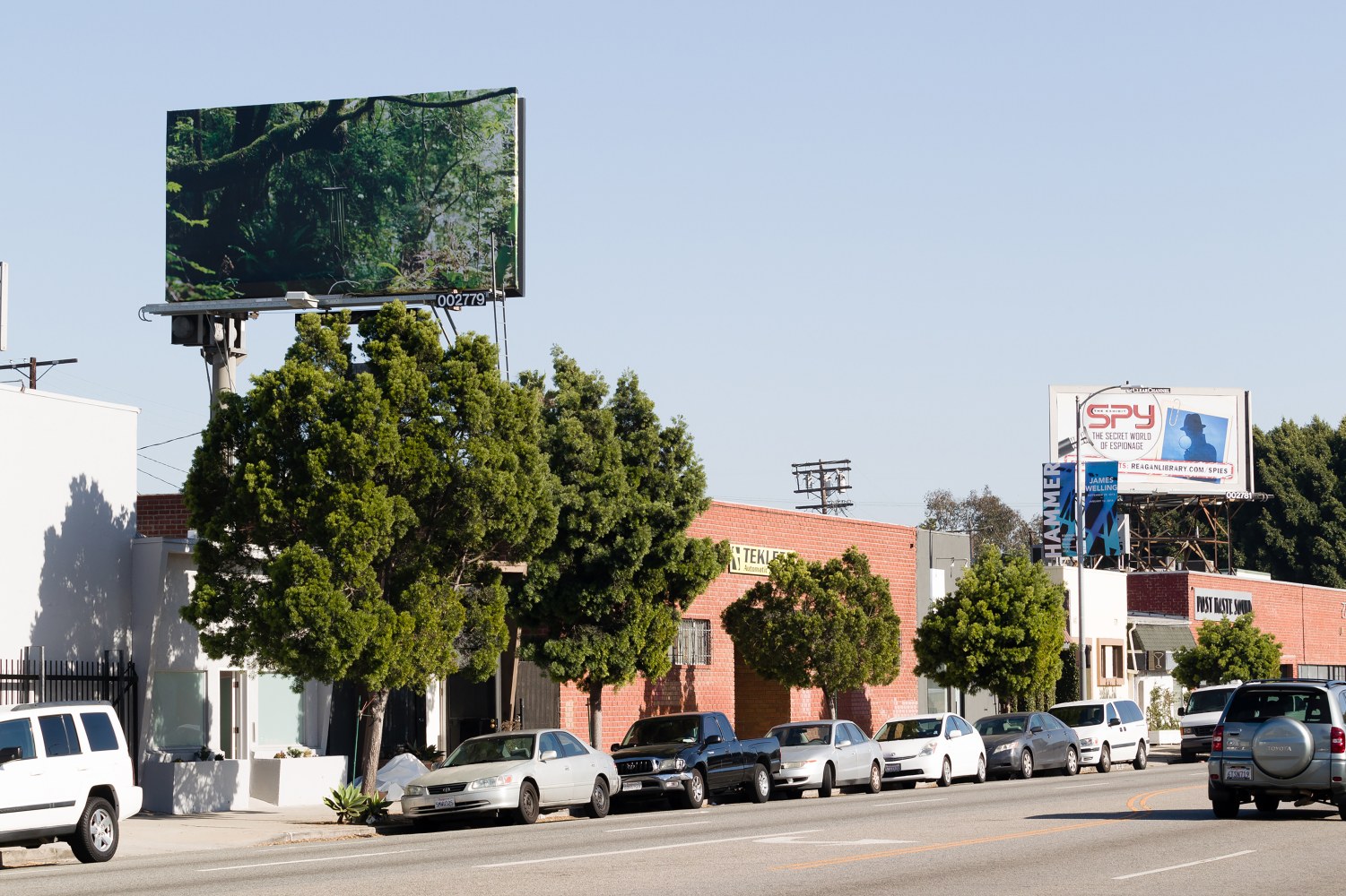 Installation view of video work by Sam Falls