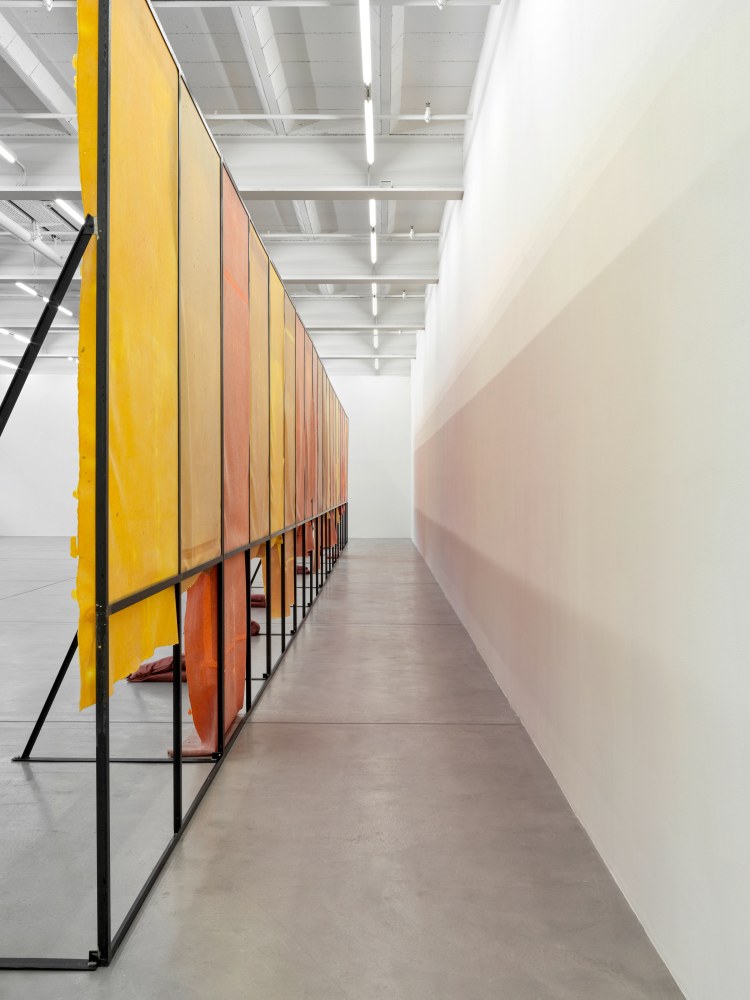 Corridor (Variation 2)

2024/2025

Metal, latex, pigment, talcum, sandbags

Dimensions variable

&amp;copy; Liesl Raff