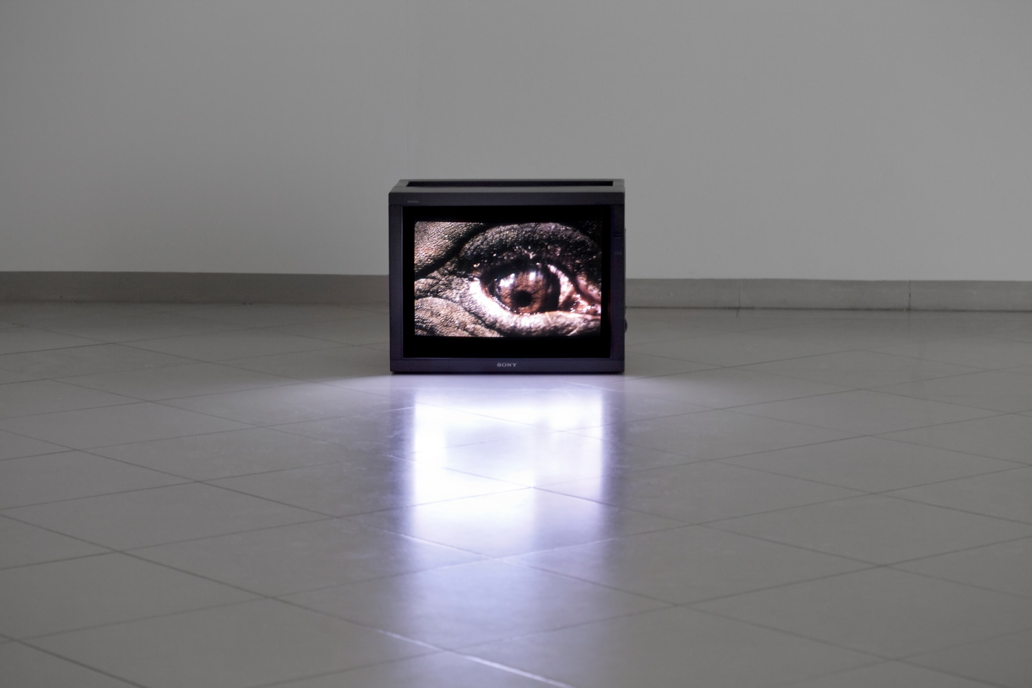 Installation view of video work by Douglas Gordon