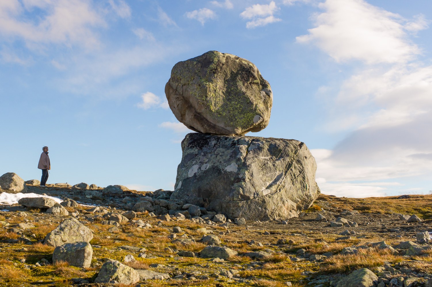 Installation view of sculpture by Peter Fischli and David Weiss