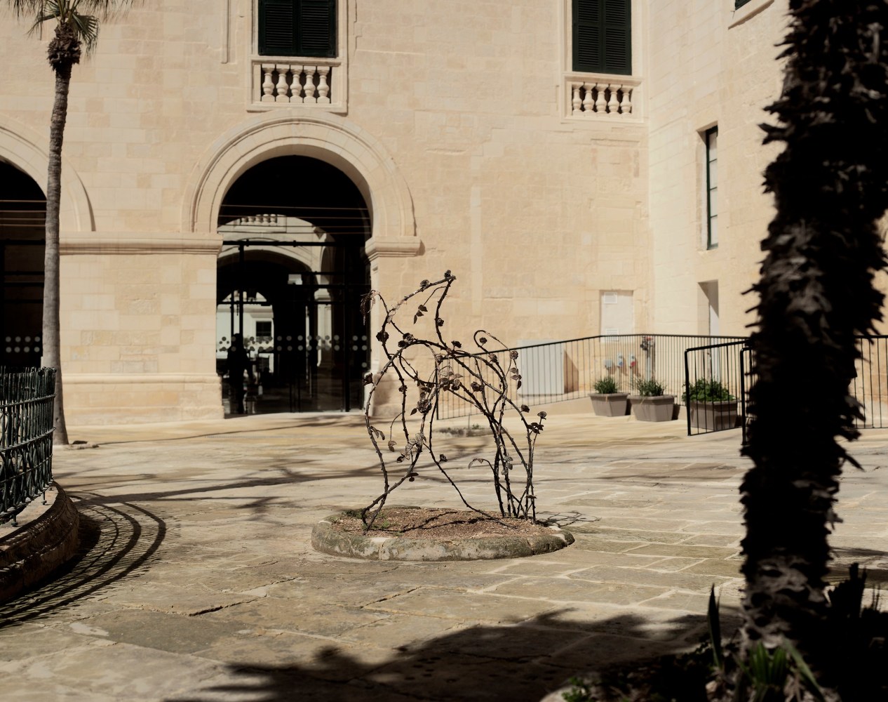 Installation view, Jean-Marie Appriou, The Briar Rose (rosa x centifolia), Malta Bienale, Malta, 2024