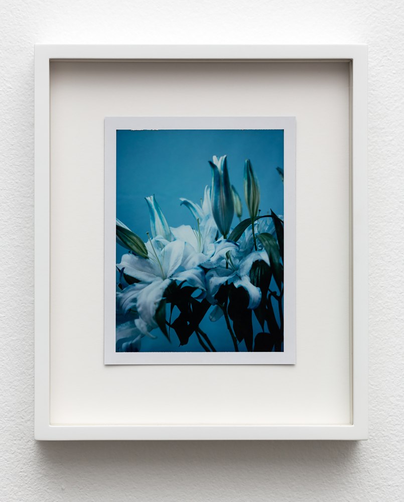 Installation view of works by Sam Falls