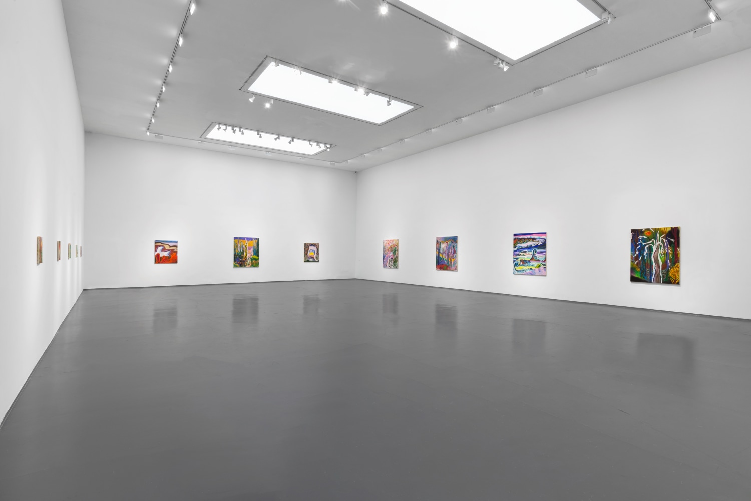Installation view of Paintings by Shara Hughes