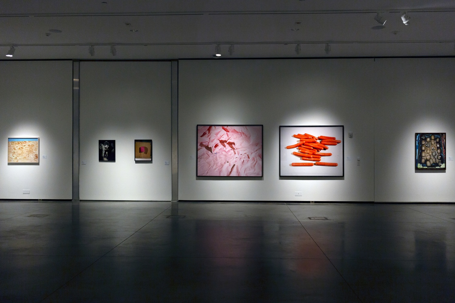 Installation view of Works by Lucas Blalock