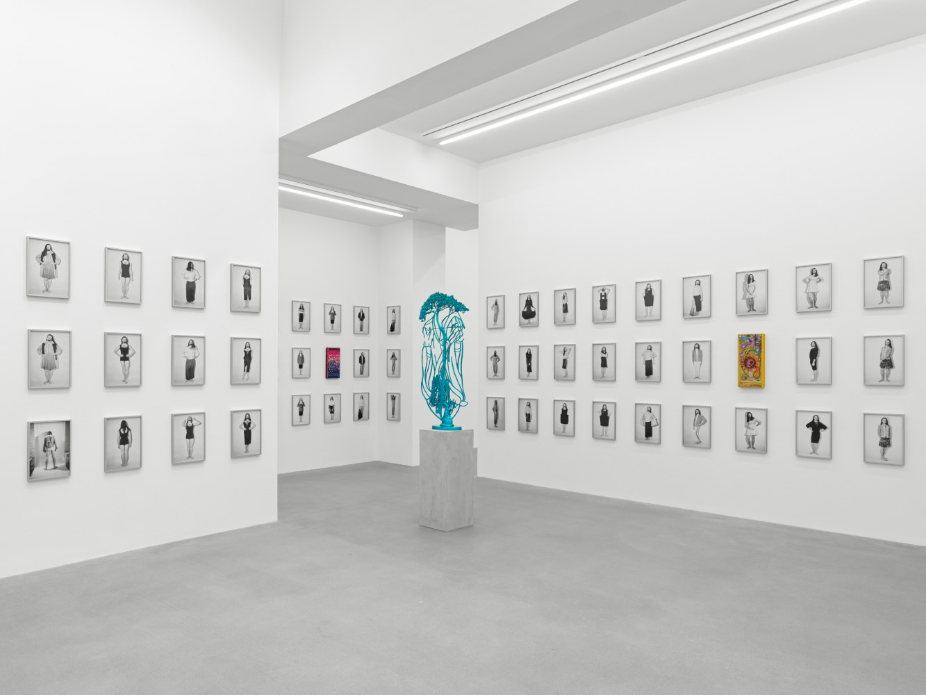 installation view