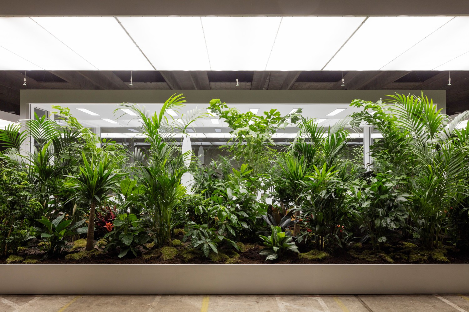 Installation view of living art installation by Doug Aitken