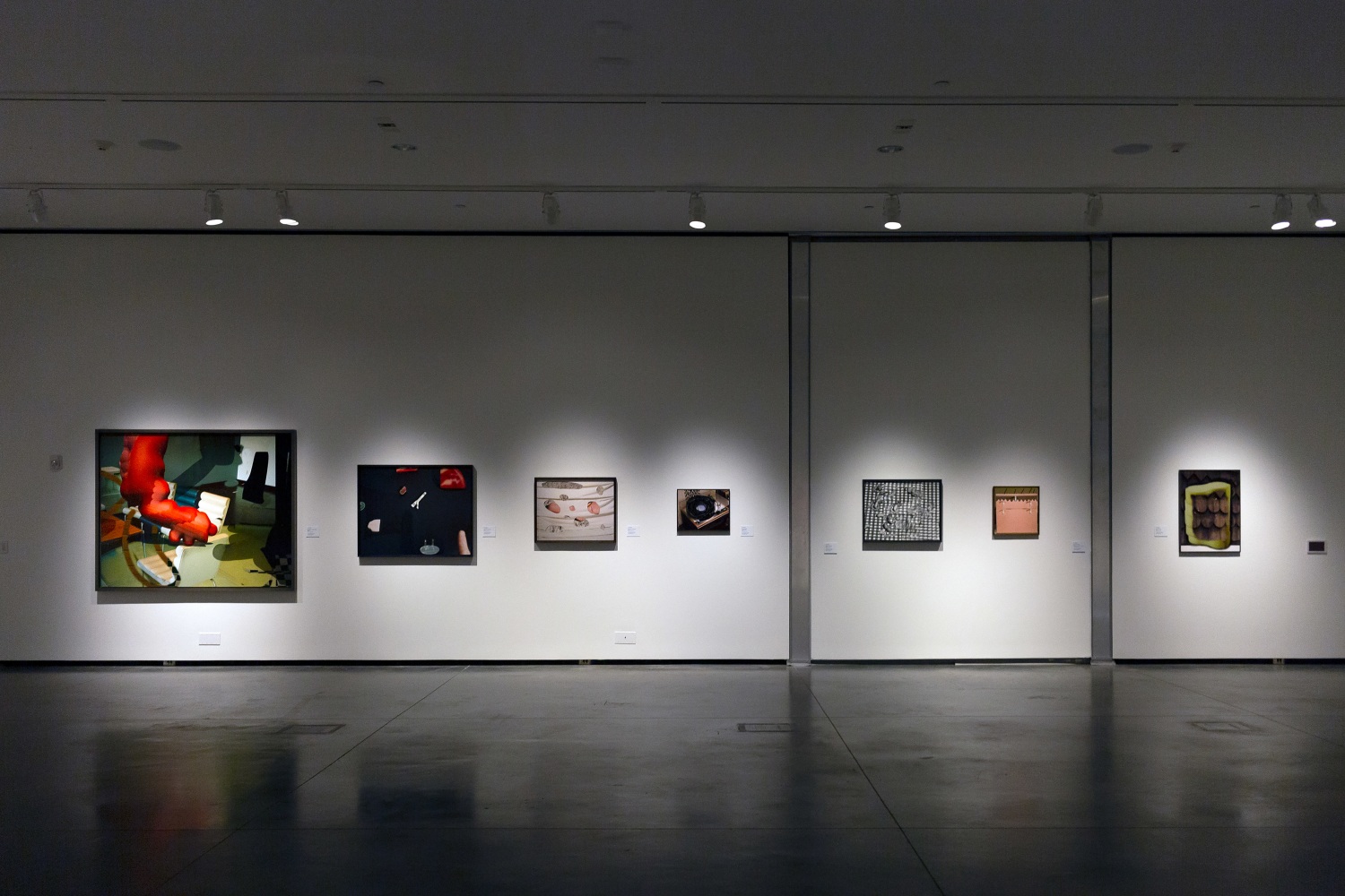 Installation view of Works by Lucas Blalock