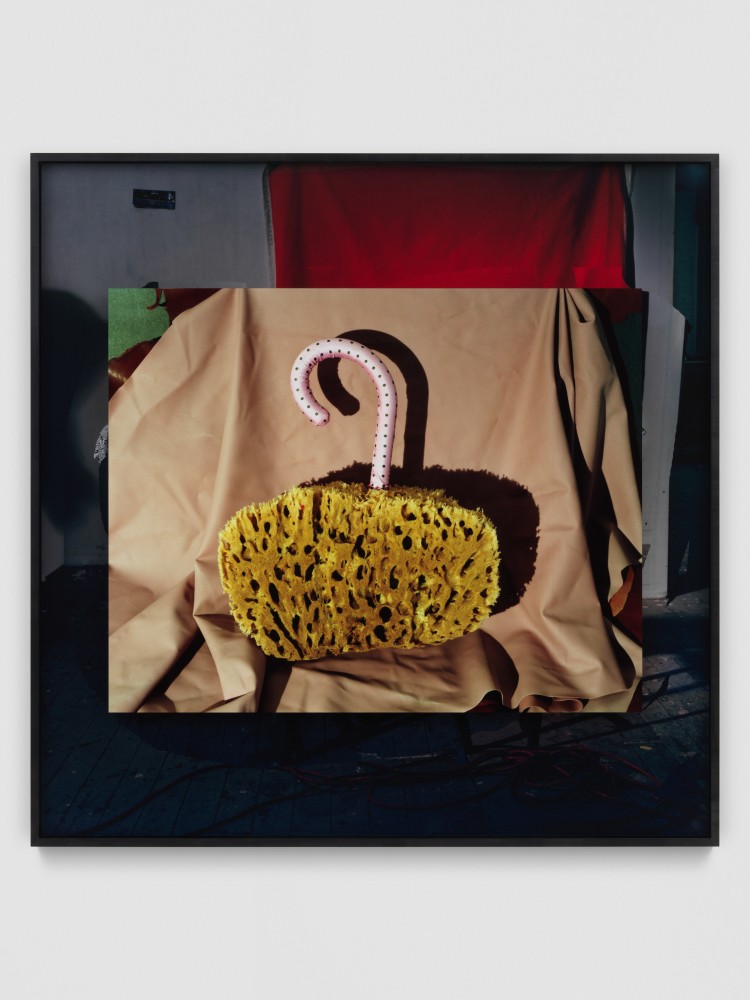 The Gong Show
2022
Dye sublimation print on aluminum mounted to framed chromogenic print
Unique
Bild 114.5 x 144 cm / 45 x 56 5/8 in
Rahmen 187 x 185.5 x 6.5 cm / 73 5/8 x 73 1/8 x 2 1/2 in

&amp;copy; Lucas Blalock