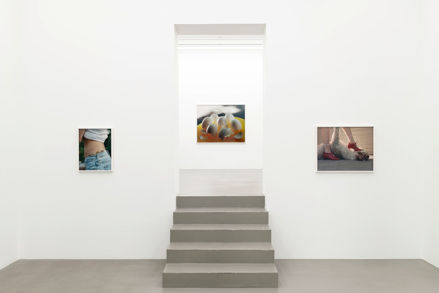 Installation view, Torbj&amp;oslash;rn R&amp;oslash;dland, Slow Life Strategies, Galerie Eva Presenhuber, Vienna, 2025