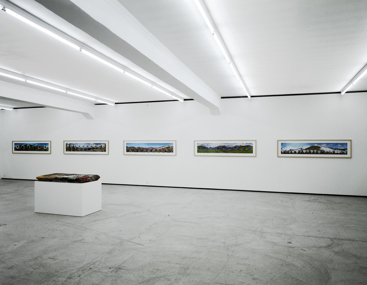 Installation view of Jean-Frédéric Schnyder photography exhibition