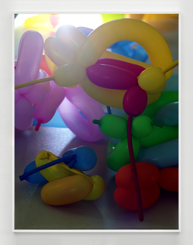 work image of photography by Torbjørn Rødland