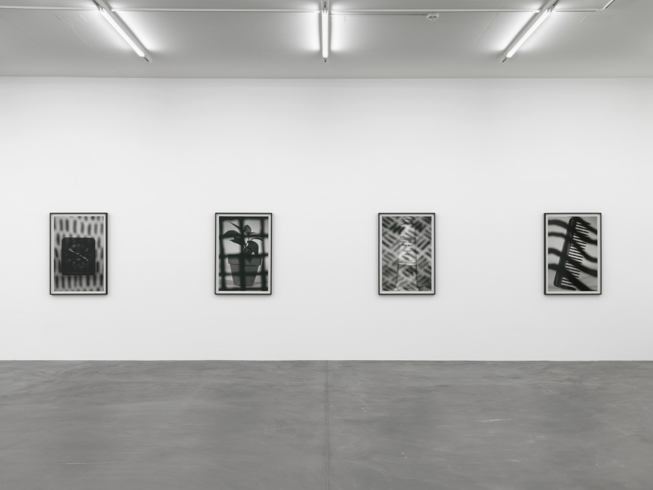 Installation view of Wyatt Kahn wall reliefs and photographs