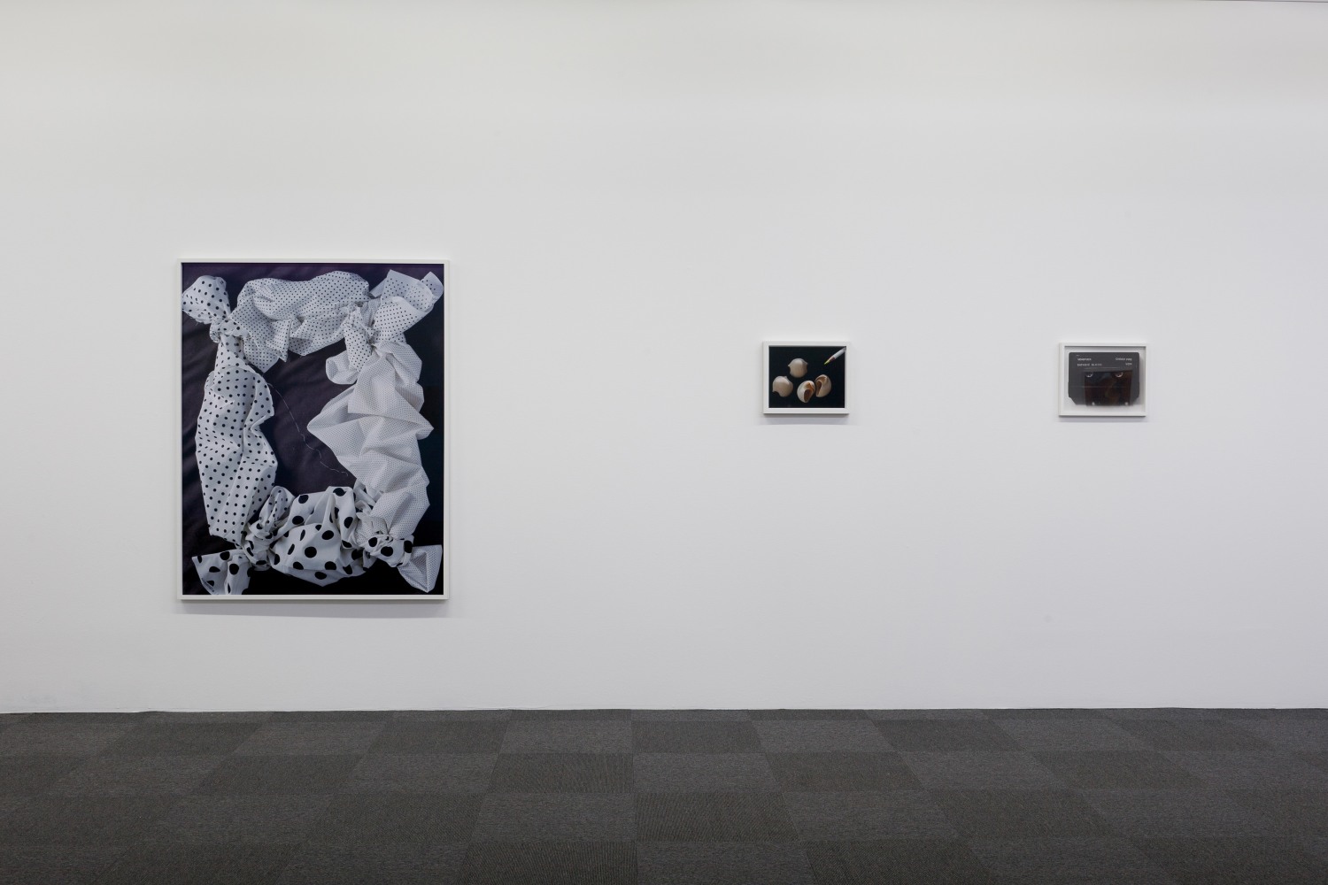 Installation view of photographs by Torbjørn Rødland