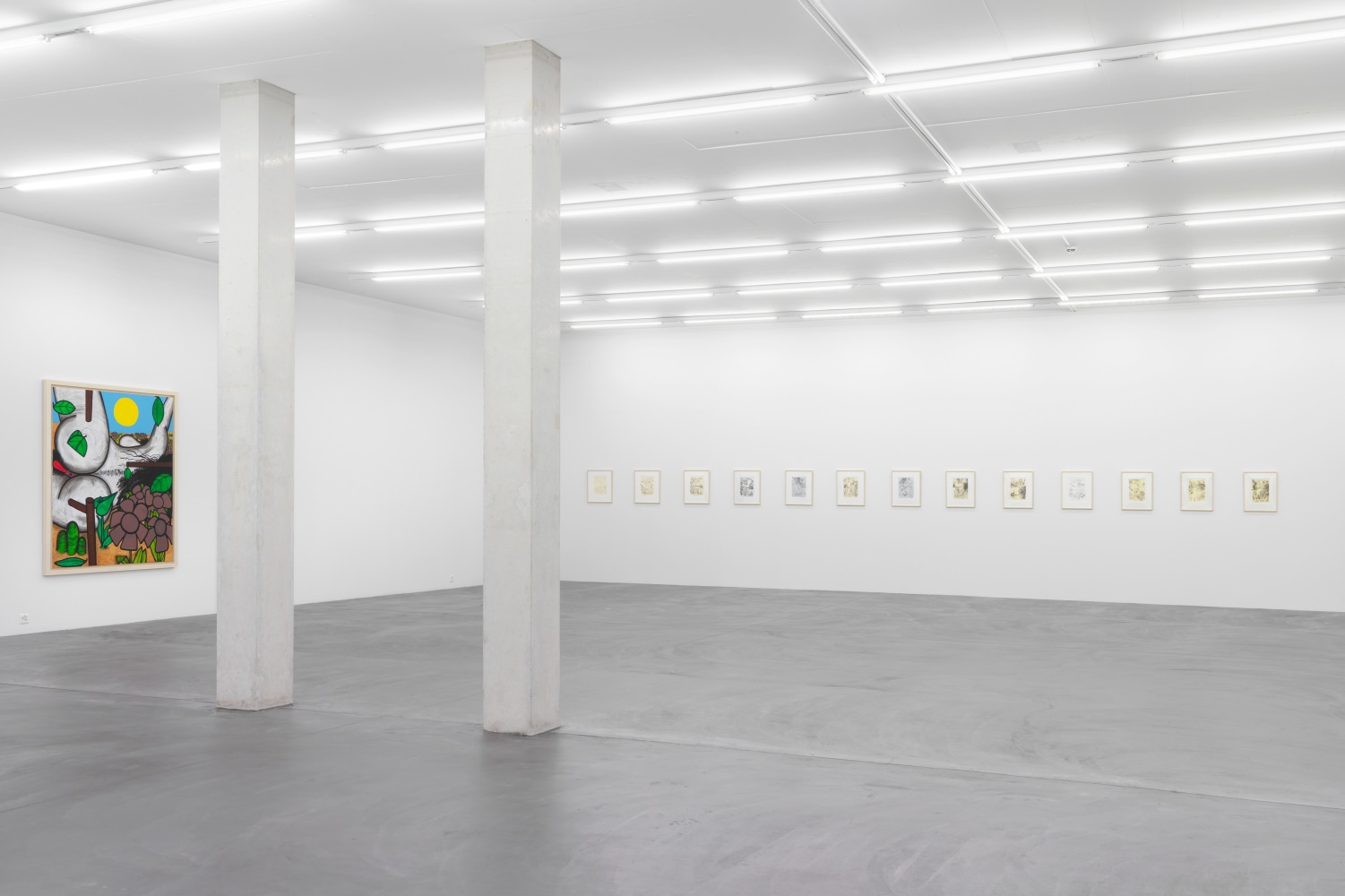 Installation view of Carroll Dunham painting and drawing exhibition
