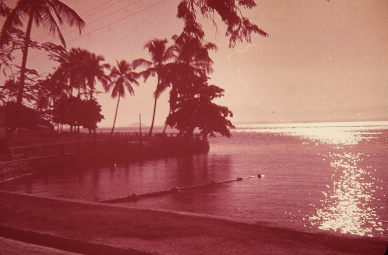 Melas Papadopoulos Group show