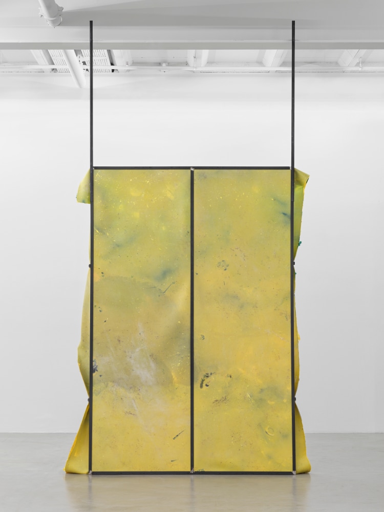 Crush 4

2025

Metal, latex, pigment, talcum

300 x 200 x 30 cm / 118 1/8 x 78 3/4 x 11 3/4 in

&amp;copy; Liesl Raff