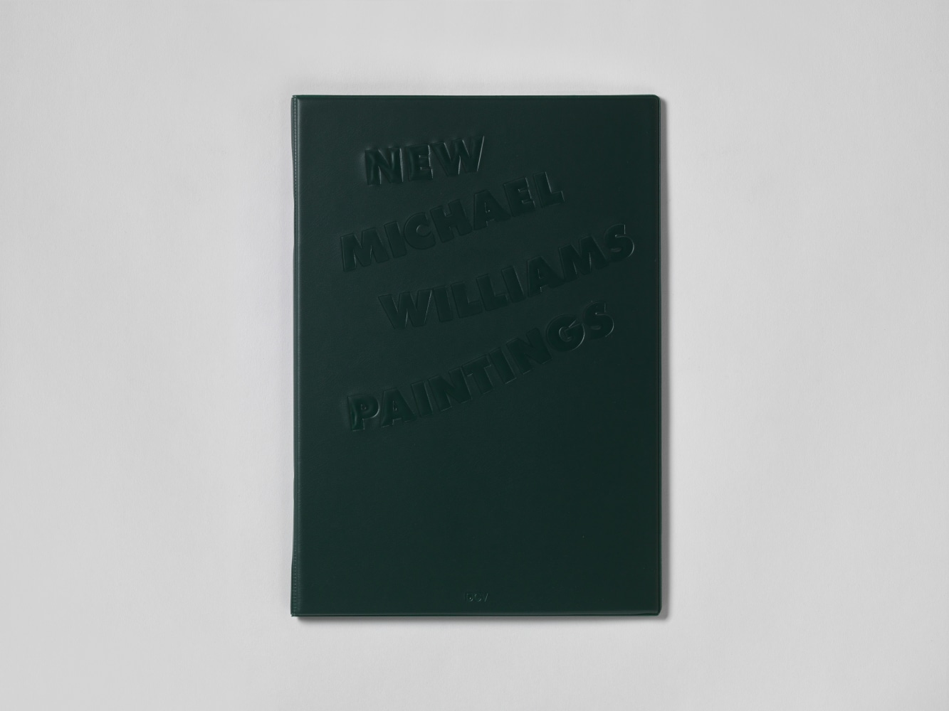 Image of Michael Williams New Paintings publication