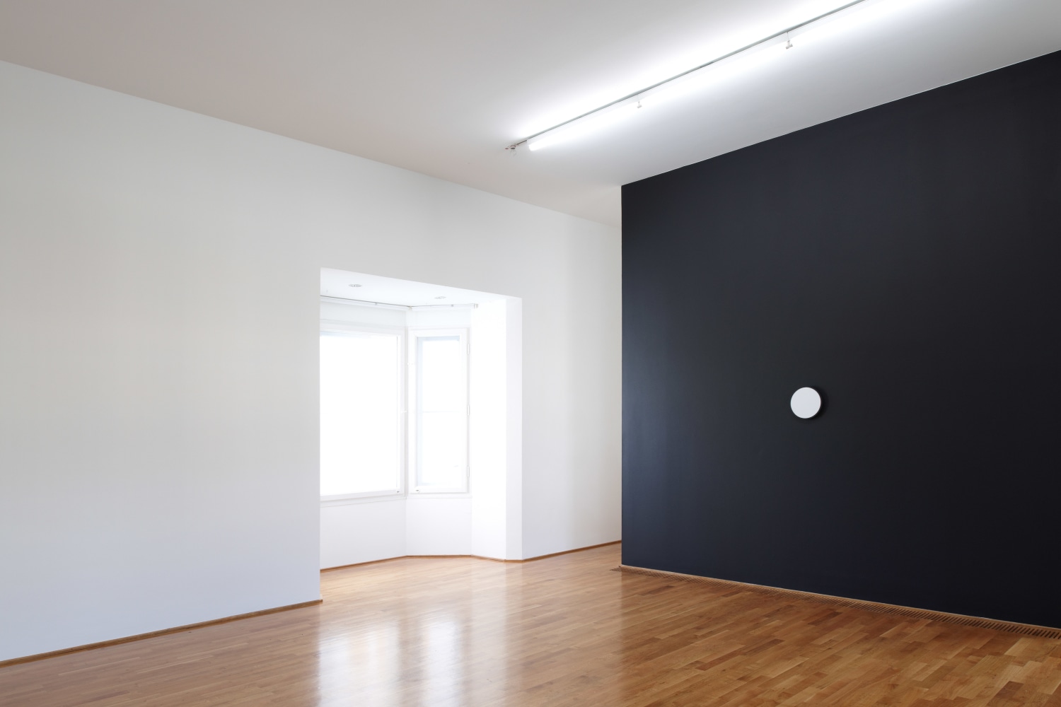 Installation view of wall works by Gerwald Rockenschaub