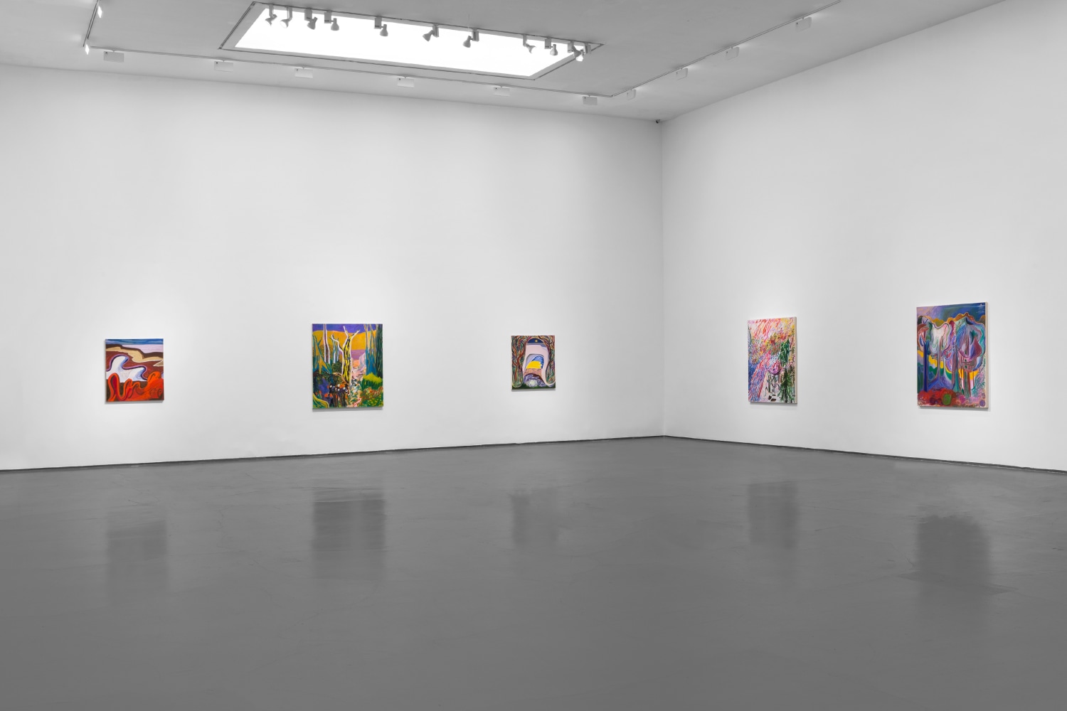 Installation view of Paintings by Shara Hughes