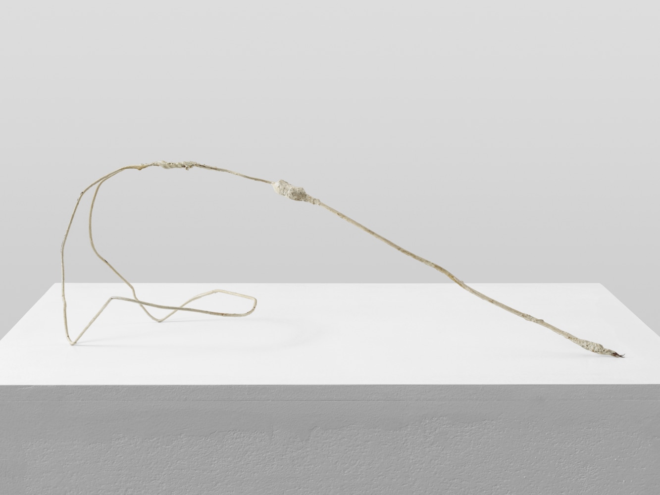 Passstück

1983

Lacquer on wire, gauze and plaster

17 x 57 x 19 cm / 6 3/4 x 22 1/2 x 7 1/2 in

&amp;copy; Archiv Franz West &amp;copy; Estate Franz West