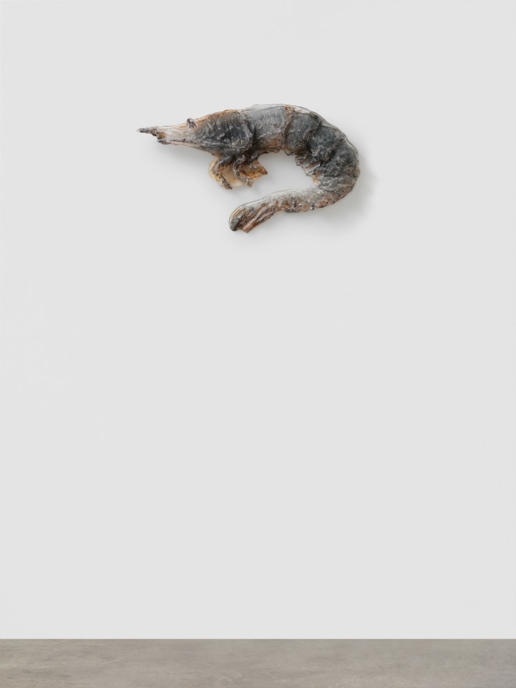 Jean-Marie Appriou Shrimp 9 2019 Glass, aluminum Approx. 68 x 44 x 9 cm / 26 3/4 x 17 3/8 x 3 1/2 in