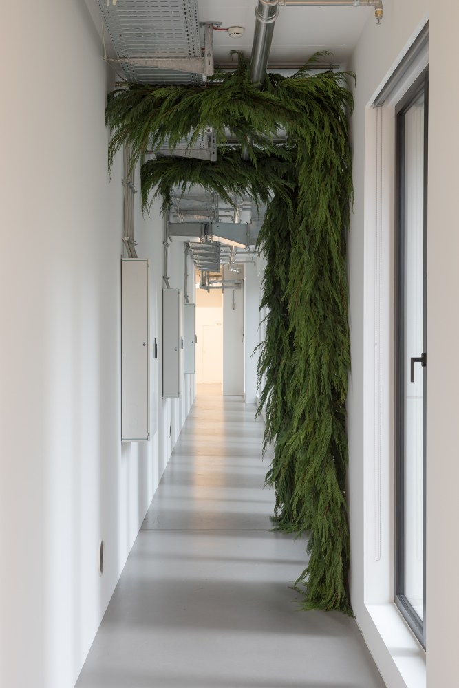 Installation view, Trisha Donnelly, MMK, Frankfurt, 2025