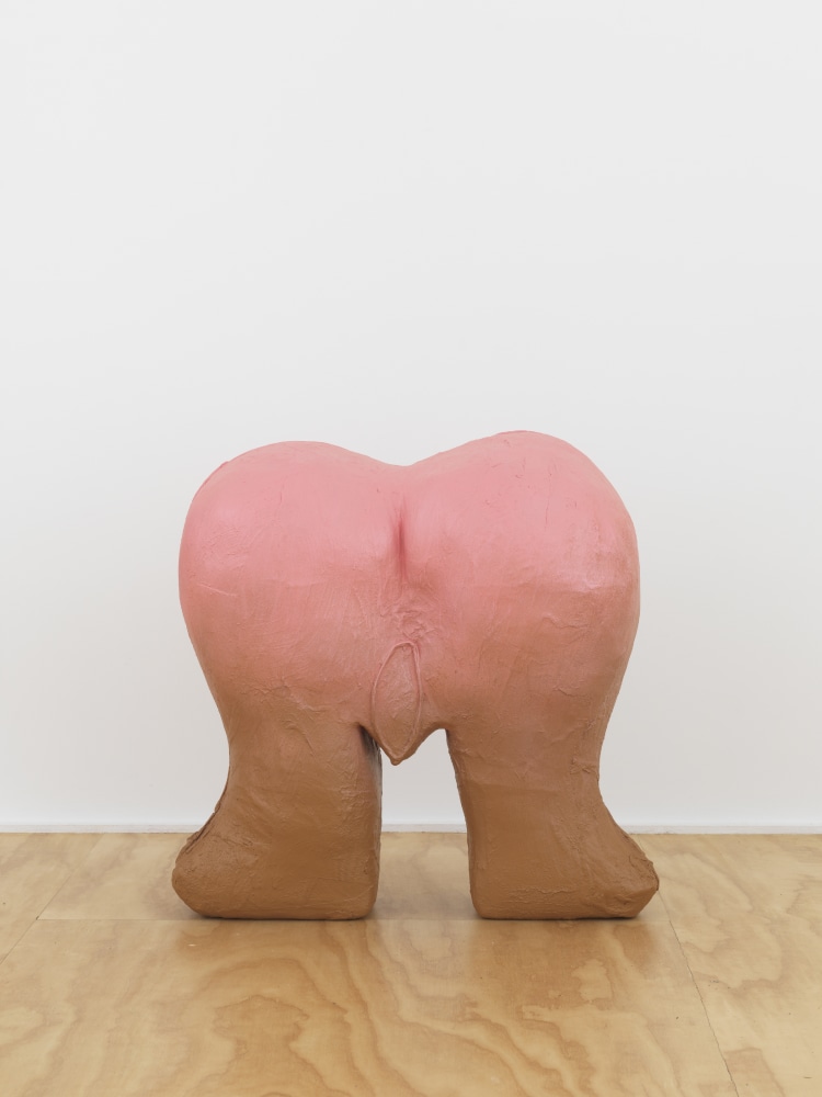 work by Tschabalala Self