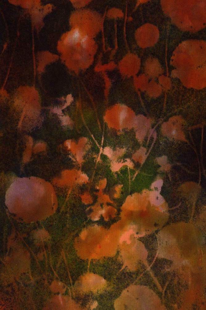 BOLINAS NASTURTIUMS, 2020, Detail