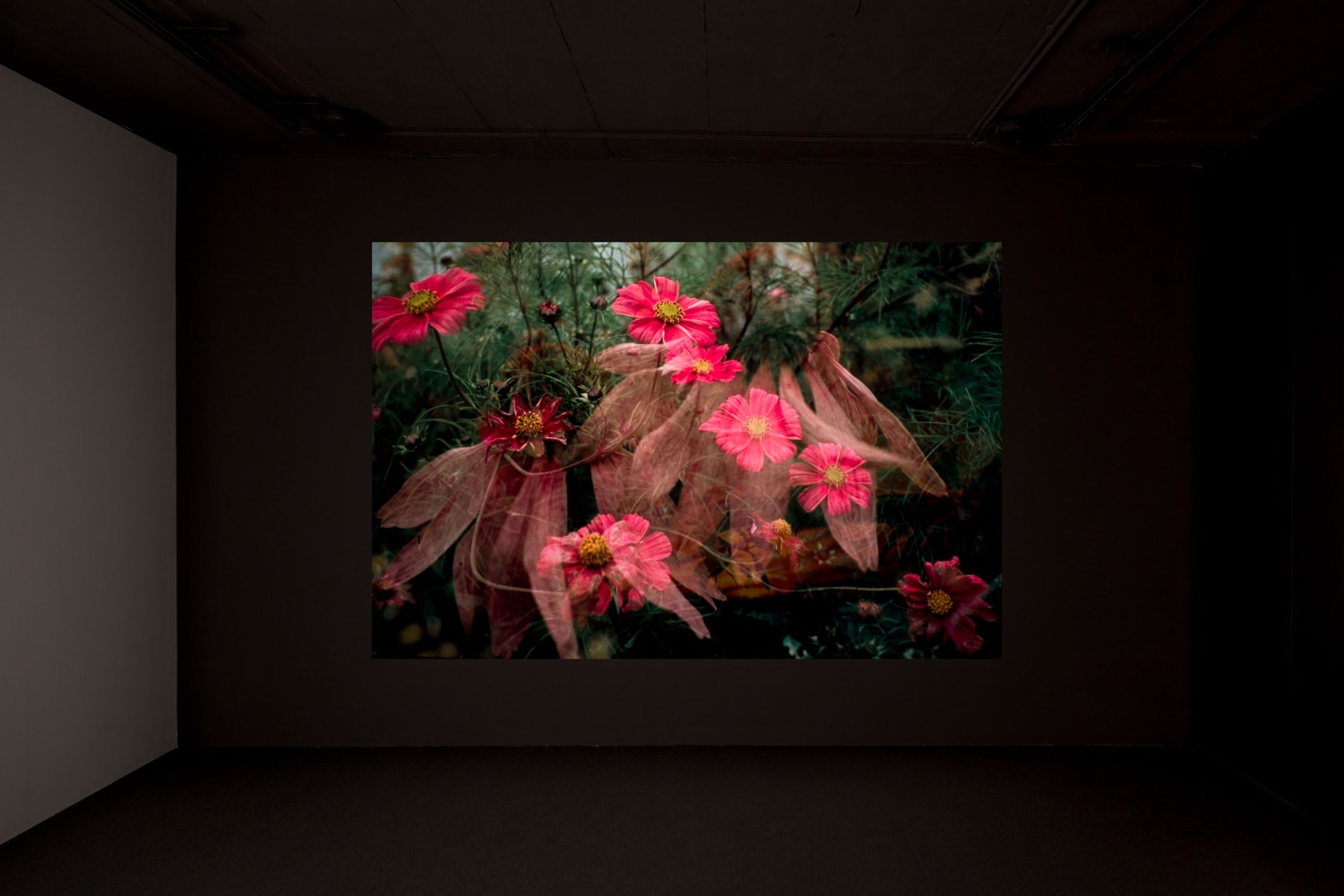 Installation view of video work by Peter Fischli and David Weiss
